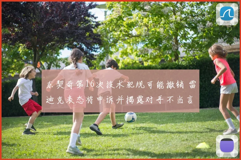 东契奇第16次技术犯规可能撤销 雷迪克表态将申诉并揭露对手不当言论