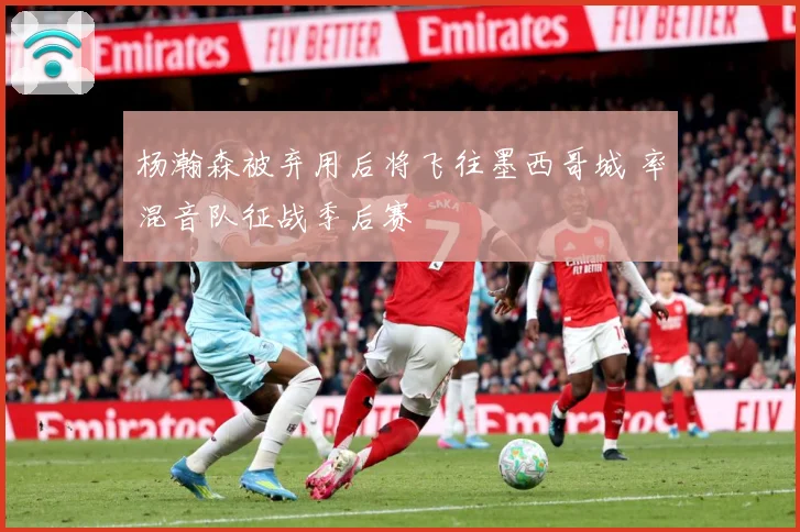 杨瀚森被弃用后将飞往墨西哥城 率混音队征战季后赛