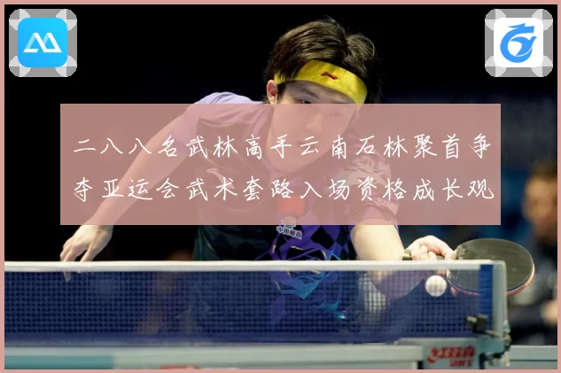 二八八名武林高手云南石林聚首争夺亚运会武术套路入场资格成长观察