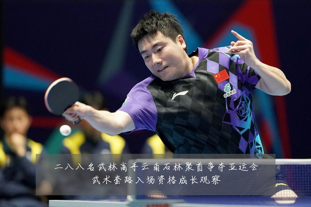 二八八名武林高手云南石林聚首争夺亚运会武术套路入场资格成长观察