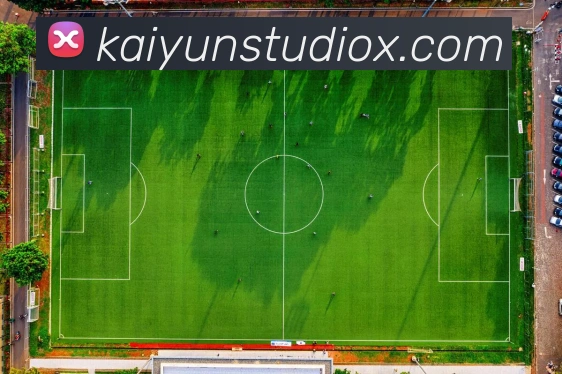 开云平台展示图